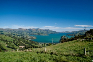 New Zealand