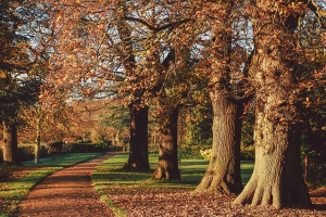 United Kingdom