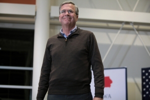 Bush