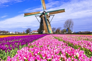 Ukraine
