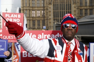 Brexit Demonstrator in Westminster