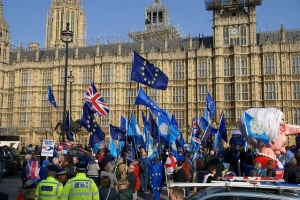 Westminster Brexit Protestors