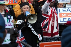 Brexit Demonstrators in Westminster London