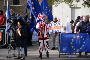 Leave Supporter, Westminster