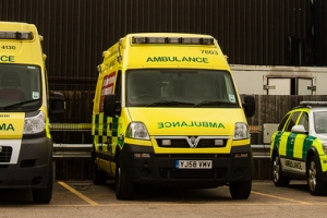 NHS Emergency Support