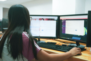 Chinese IT Worker