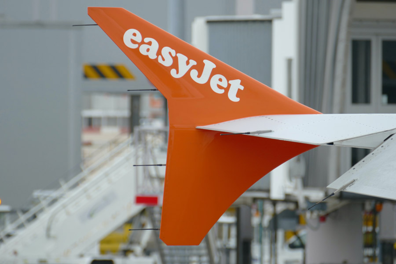 EasyJet CEO blasts the British government's refusal to allow more UK visas for EU cabin crew and ground handling staff.