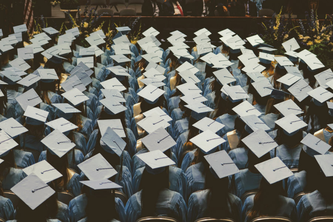 The Home Office has been urged to do more to promote the UK graduate visa scheme, amid confusion among employers.