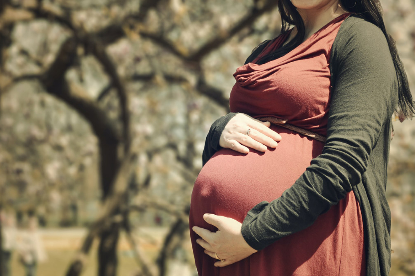 Ur Jaddou, President Joe Biden’s pick to lead USCIS, has seemingly defended birth tourism.