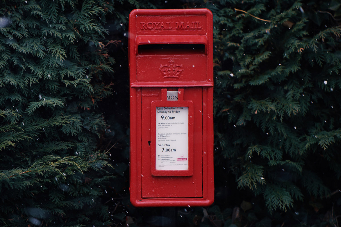 The Home Office has wrongly sent UK immigration status letters to British citizens, sparking panic.