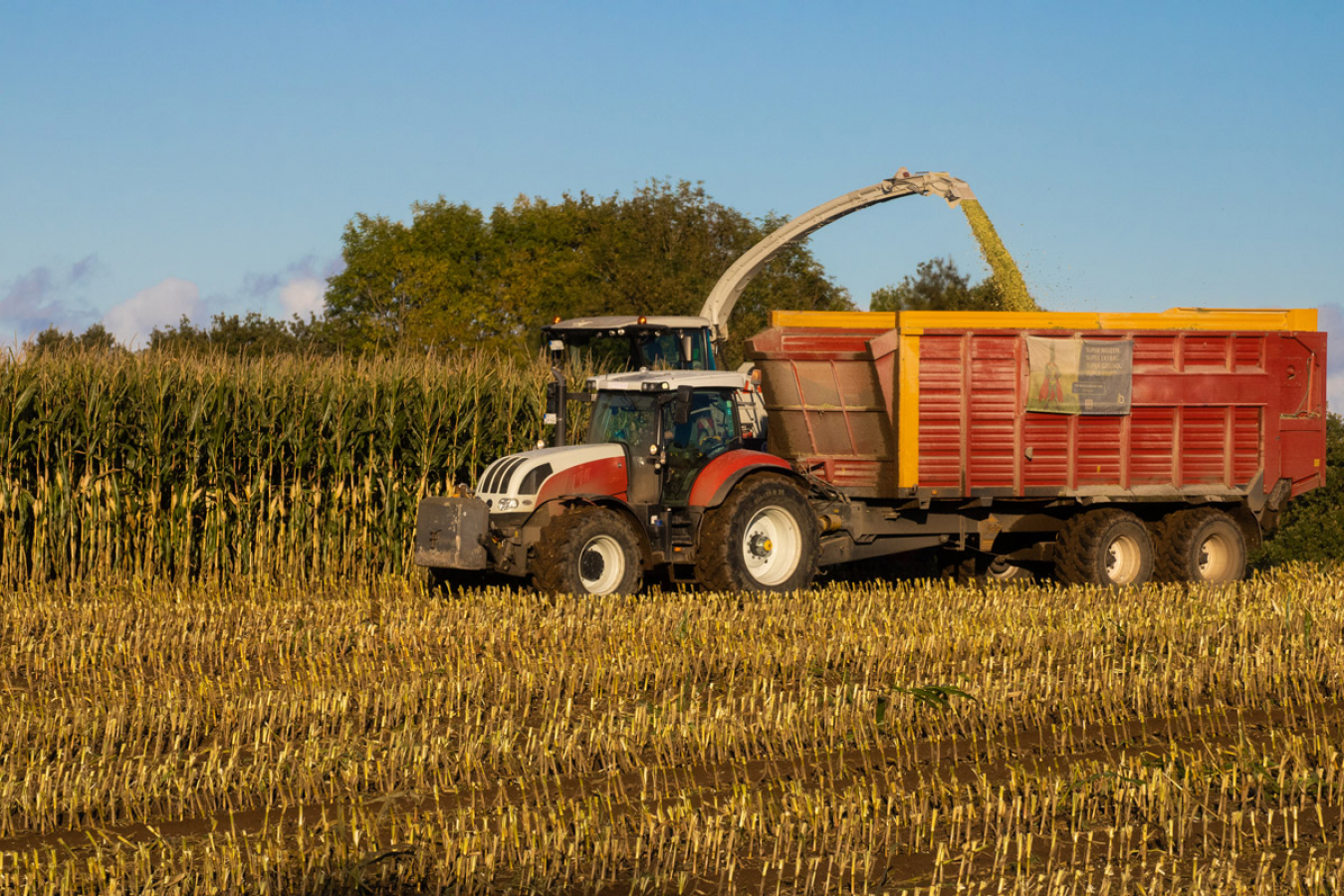 The Home Office has added ornamentals to the UK seasonal worker visa category, but won’t extend the program.