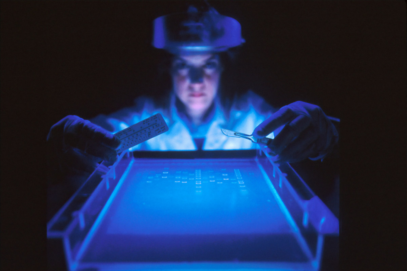 Not a single scientist has applied for a UK Global Talent Visa, according to a freedom of information request.