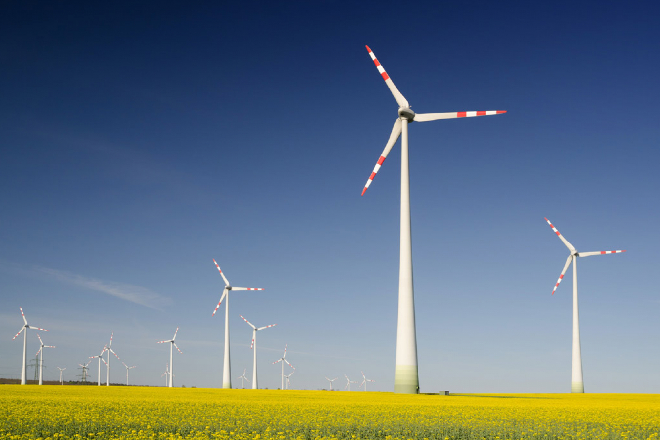 The Home Office has performed an 11th hour U-turn on UK visa requirements for migrant wind farm workers.